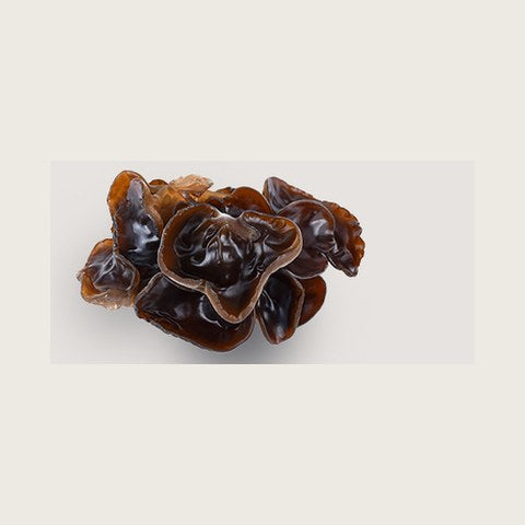 Champignon noir