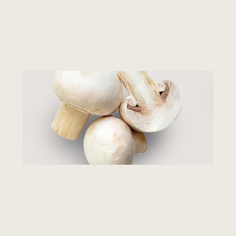 Champignon de Paris